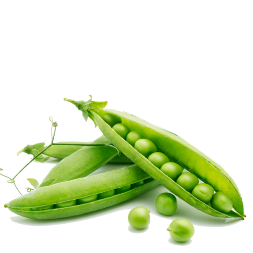 Fresh Organic Green Peas