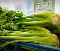 Fresh Organic Celery