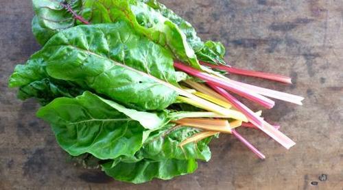 Fresh Organic Chard