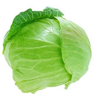 Fresh Cabbage