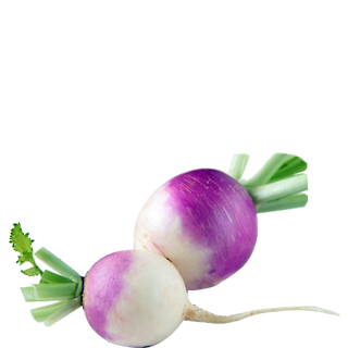 Fresh Turnip - Purple, Variable Diameter | Fresh, Nutritious, Flavorful, Versatile, Healthy, Firm Texture
