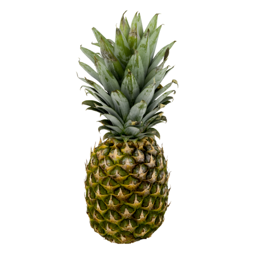 Fresh Organic Pineapple