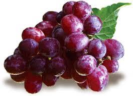 Fresh Organic Fruits
