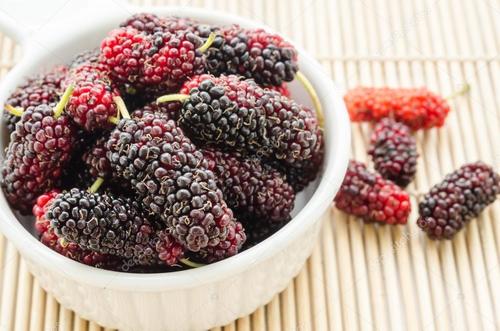 Fresh Organic Mulberry
