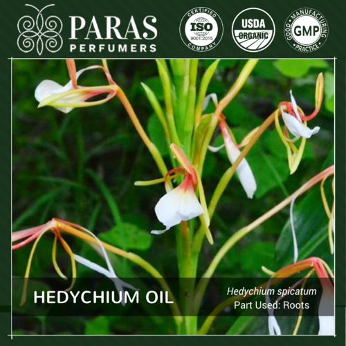 Hedychium (Kapoor Kachari Oil)