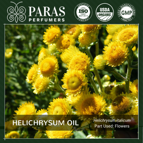 Helichrysum Oil