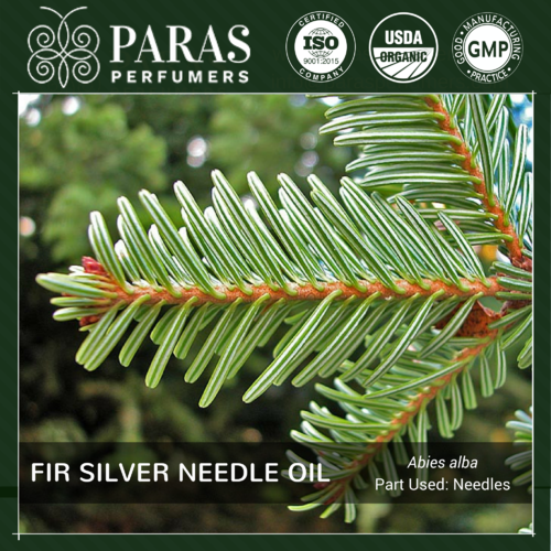 Fir Silver Needle Oil