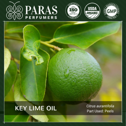 Key Lime Oil