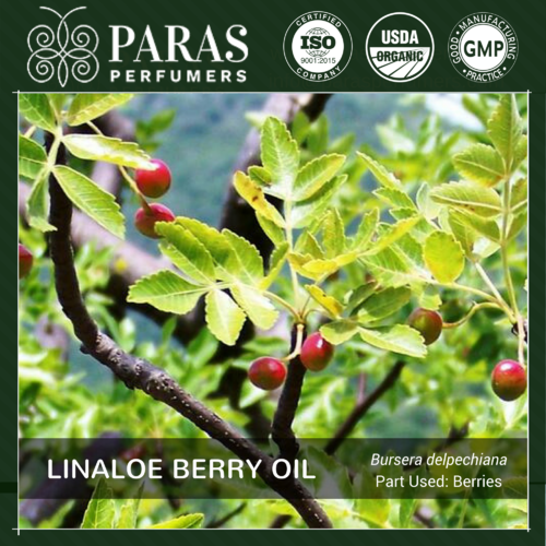 Linaloe Berry Oil