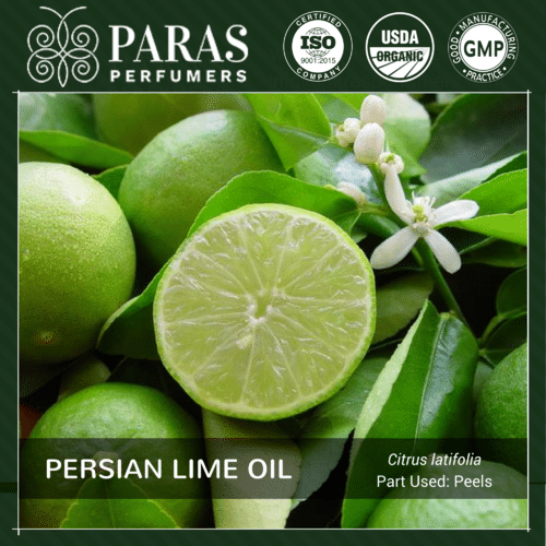 Lime Oil Persian