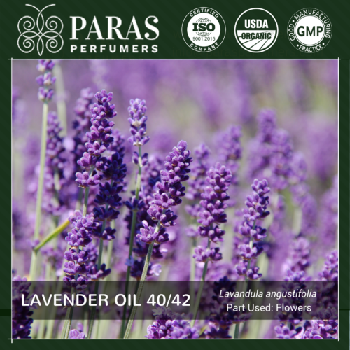 Lavender Oil 40/42