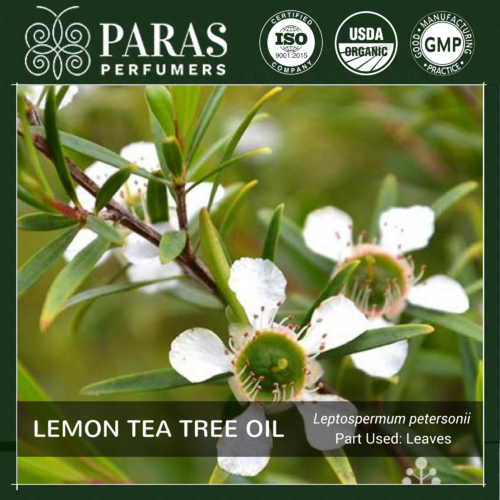 Lemon Tea Tree Oil