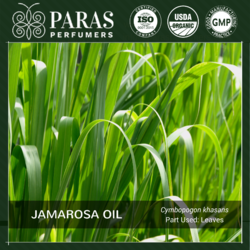 Jamarosa Oil