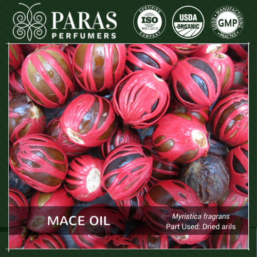 Mace Oil