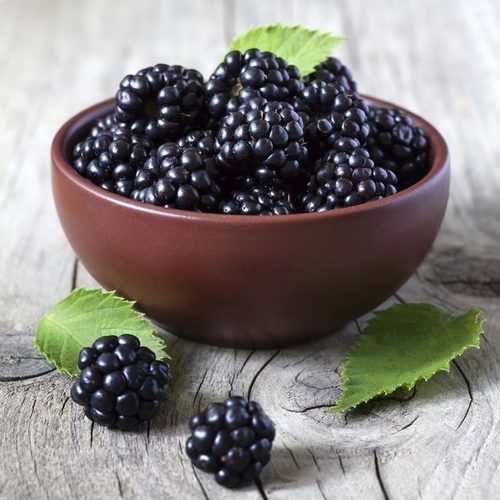 Fresh Blackberry