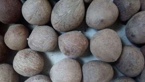 Ball Copra