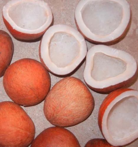 Edible Copra Sulpharlan