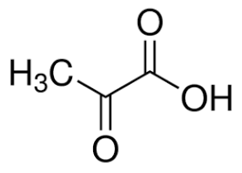 Pyruvic Acid