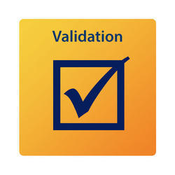 DHS Validation Services