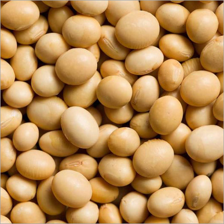 Soybean Seeds