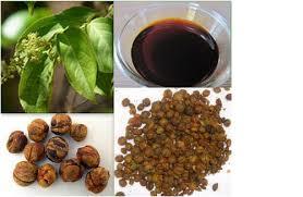 Malkangni Oil