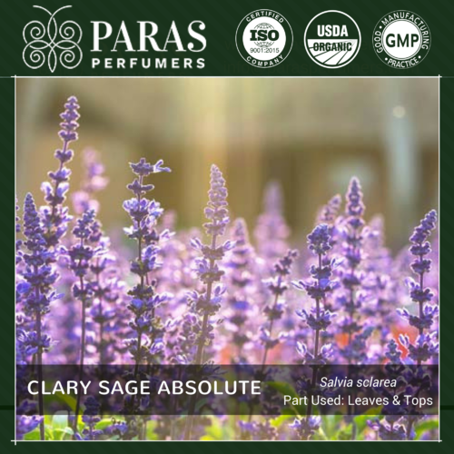 Clary Sage Absolute
