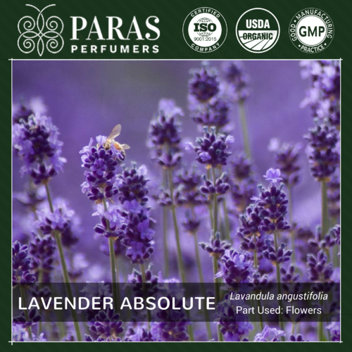 Lavender Absolute Oil