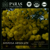 Mimosa Absolute Oil Usage: Personal Care