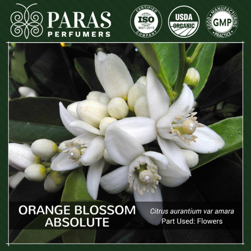 Orange Blossom Absolute Oils