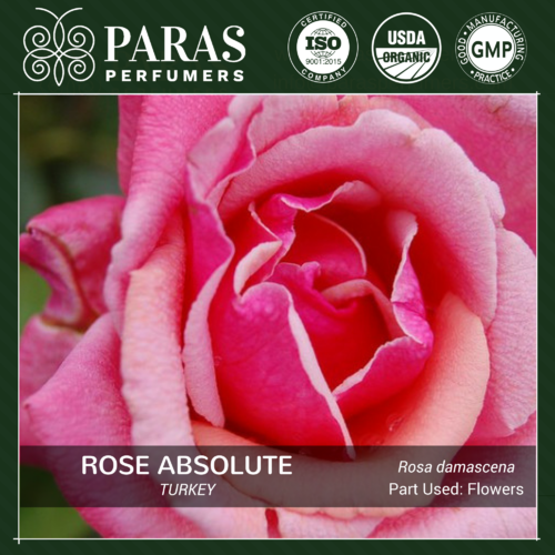 Rose Absolute, Turkey