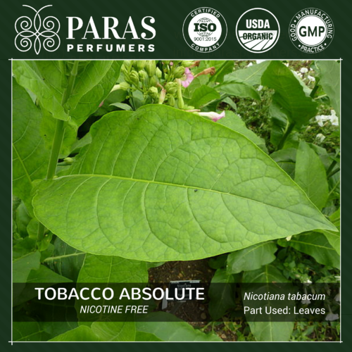 Tobacco Absolute