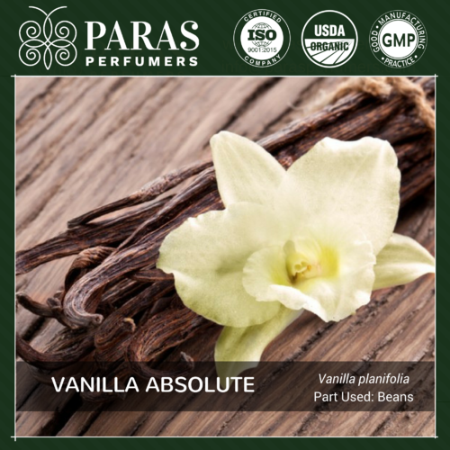 Vanilla Absolute Oils