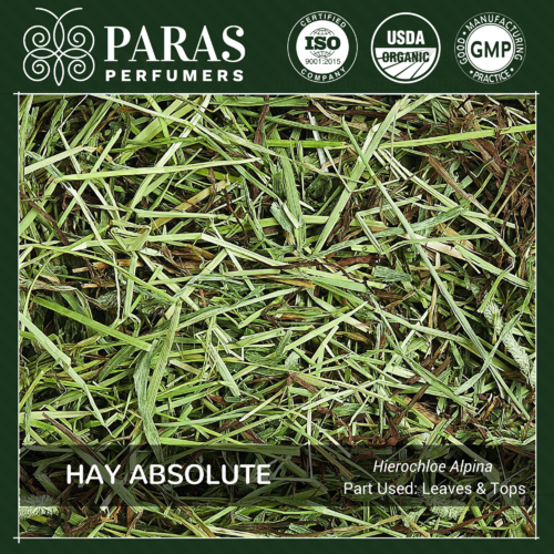 Hay (Sweetgrass) Absolute Oils Usage: Personal Care