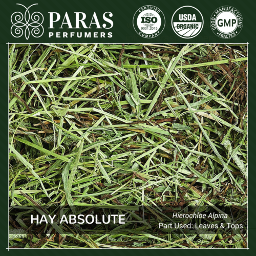 Hay (Sweetgrass) Absolute Oils