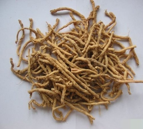 Organic Punarnava Root