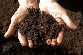 Soil Testing Services