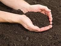 Soil Testing Services