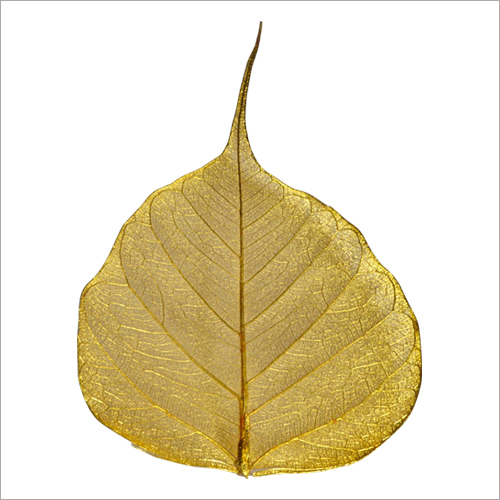 Original Gold Plated Peepal Leaf