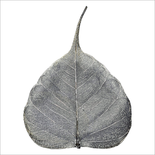 Original Silver Peepal Leaf