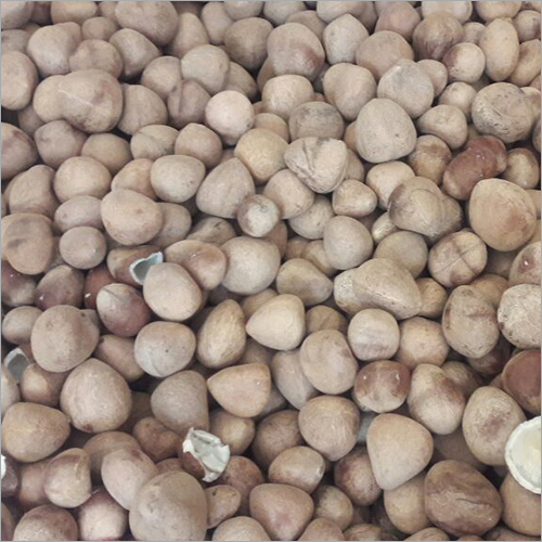 Dry Coconuts