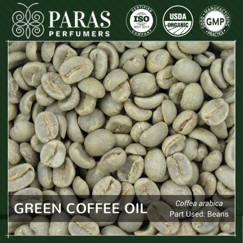 Green Coffee Bean Oil