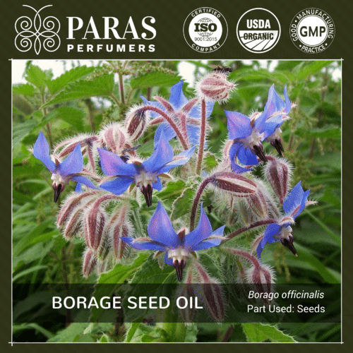 Borage Seed Oil