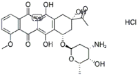 Daunorubicin Hydrochloride - Cas 23214-92-8, Molecular Formula C27h30clno11 , Red Powder With 98% Purity, Water Soluble For Cancer Treatment