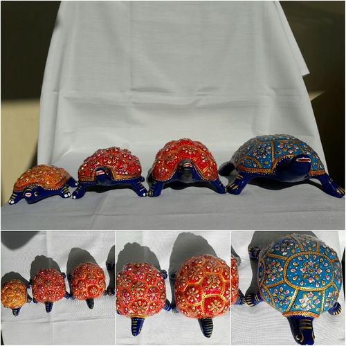 meenakri Tortoise
