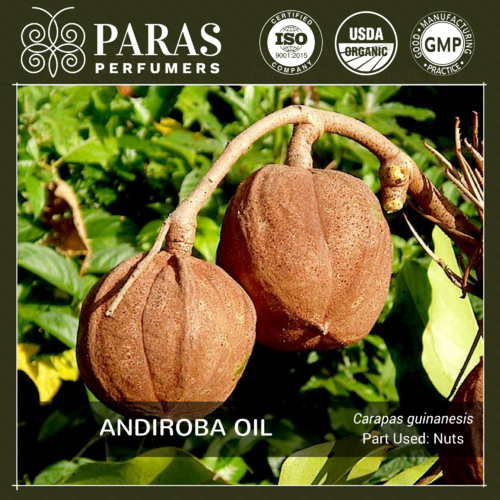 Andiroba Oil