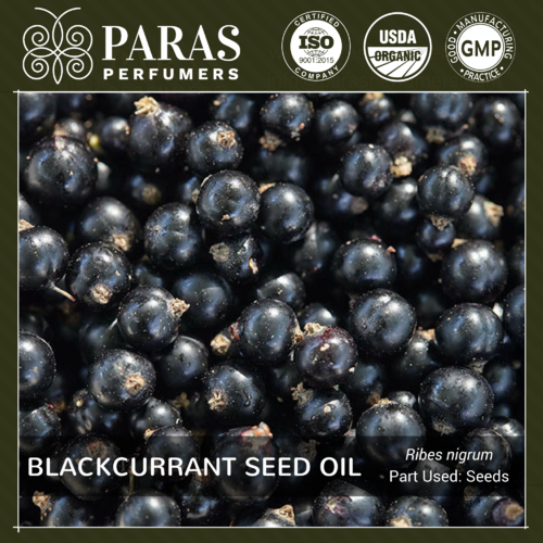 Blackcurrant Seed Oil