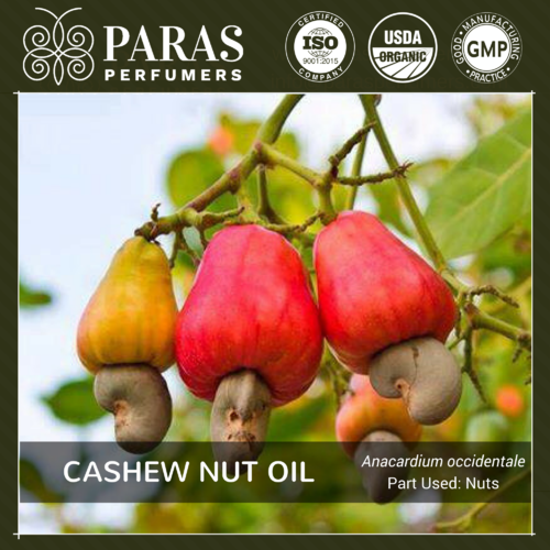 Cashew Nut Oil Usage: Personal Care