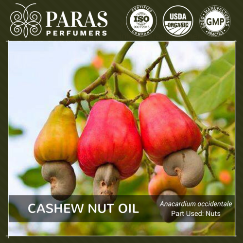 Cashew Nut Oil