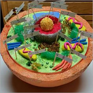 science projects school projects