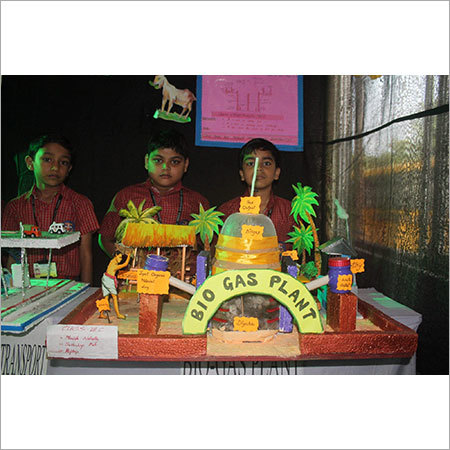 Science Unique Models Chart and Project